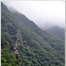 수도녹색숲모티길 이미지