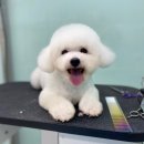 워킹포드림 이미지