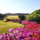 포항골프장(회원제) 이미지