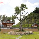 금광리장씨고택 이미지