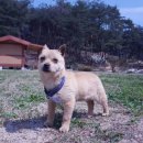 목인농장 이미지