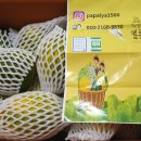 화니농장 이미지