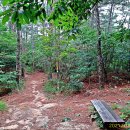 구선천약수터 이미지