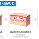 제트라인송파