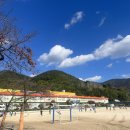 마산초등학교 | (마산집단상담) 마산 초등학교 집단상담/ 사회성 프로그램 출강 후기