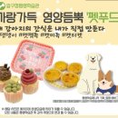 압구정평생학습관 이미지