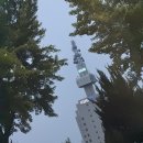 나온치과기공소 이미지