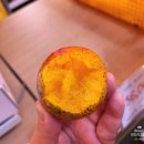 신화농장 | 제주신화월드맛집 제주망고집 새벽농장 미니애플망고 포장 가격 후기