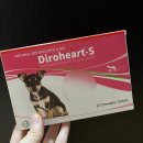 금호동동물약국 이미지