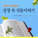 식물이야기 이미지