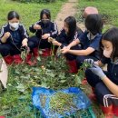 살레시오여자중학교 이미지
