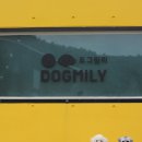 도그밀리 이미지