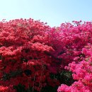 유천버스정류장 이미지