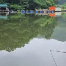 고담낚시터 네이버블로그