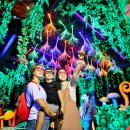 무주반딧불투어 이미지