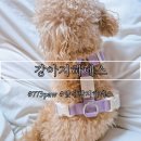 773 | 강아지하네스 773paw 앞섬방지 하네스 리드줄 후기