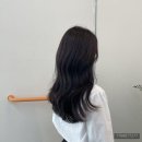 인생 머리 찾았다! 상동 미용실 오앤오앤 부천점 솔직 후기