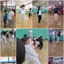 신화정 태권도 이미지