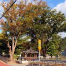 개천초등학교 이미지