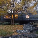 Good Forest 이미지