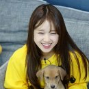 아잉