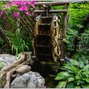 대나무골 이미지