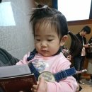 엘 미니동물원 이미지
