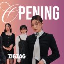 지그재그 이미지