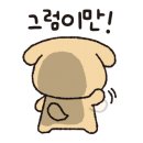 매일좌대낚시 이미지