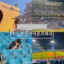 용인대 팀레전드 2호점 | 대구 삼성라이온즈파크 예매 및 원정석 1-1구역 시야