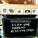 호담호두과자 네이버블로그
