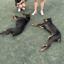 (주)루뻬 이미지