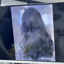 강남대로83길 48-3 | [서울 강남] 강남 컬러모아 퍼스널컬러진단 컨설팅 및 진단 후기 (여름 뮤트)