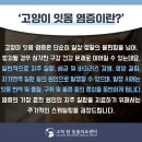 고척원동물의료센터 이미지