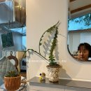 선흘정류장 이미지