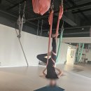 태영프라자약국 이미지