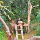 월드밸리 이미지