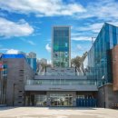 유엔평화기념관 이미지