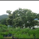 고암농장 이미지