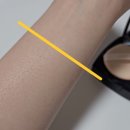 보라3통 | 샤넬 쿠션 팩트 : 헬씨글로우 레 베쥬 BR12 3통째 사용 후기 (본품+리필)
