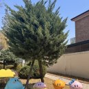 초봉한우 이미지