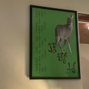 북구청건너 버스정류장 | [대구 북구청 맛집 / 고성동 술집 추천] 고라니