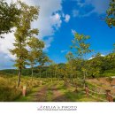 천년의 정원 이미지