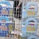 신나는독후활동 | 이토록 완벽한 독후 활동은 없다! <100층짜리 집> 관람 꿀팁(좌석, 주차, 8세 5세 솔직후기, 근처...