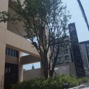 여우비 호텔 이미지