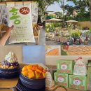 아이스크림스토리용인 | 용인 고기리 카페 추천 흥만소 뚝배기 팥빙수 맛있는 테라스 카페