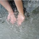 하늘켄넬 이미지