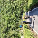 ♡26~07~12충북 단양 종주 산악회 정기 산행 들머리 방곡삼거리 무영봉 만기봉 도로 내궁기 도락산 제봉 상선암 주차장 ~~♡♡♡ 이미지