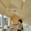물멍스테이 | 핫한 공주 물멍 감성 신상 카페 스테이인터뷰 의당 내돈내산 후기 세종 대전 근교 카페 추천