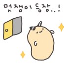 송정셀프세차타운 이미지